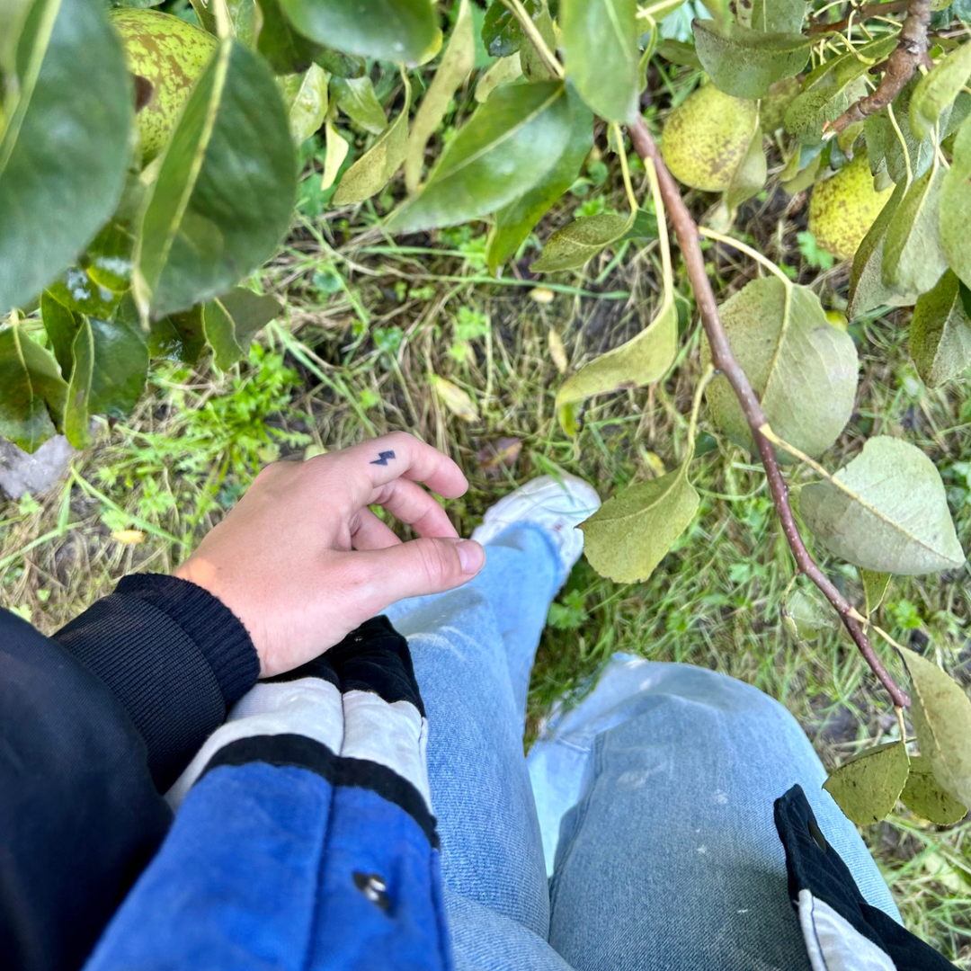 Temporäres Tattoo Blitz